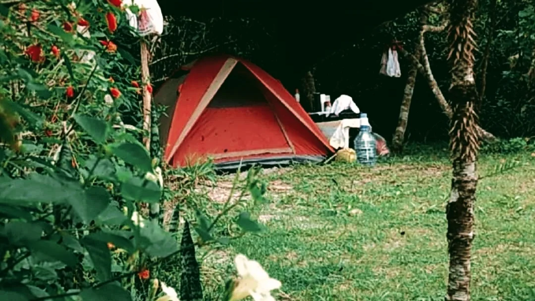 20251114-052101-2021-01-03